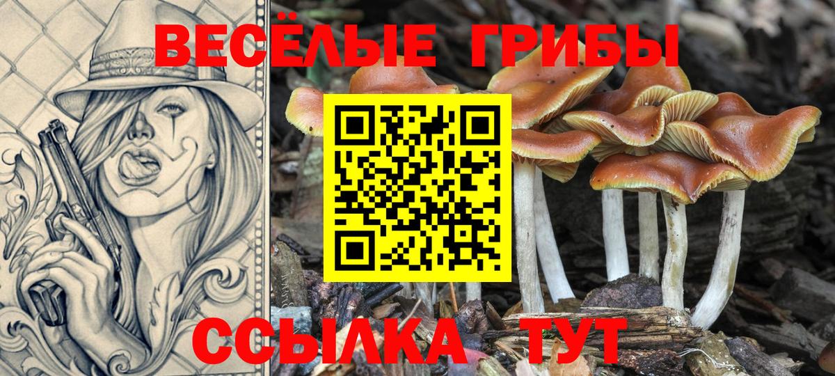 Псилоцибиновые грибы мухоморы Кушва