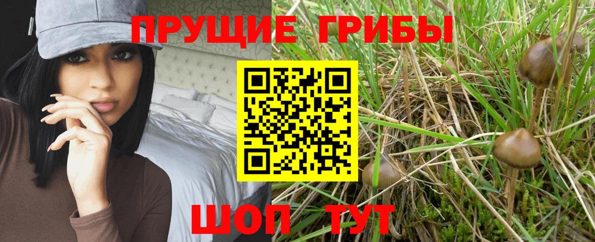 Псилоцибиновые грибы мицелий  Псилоцибиновые грибы прущие грибы  Вход с VPN  Кушва 